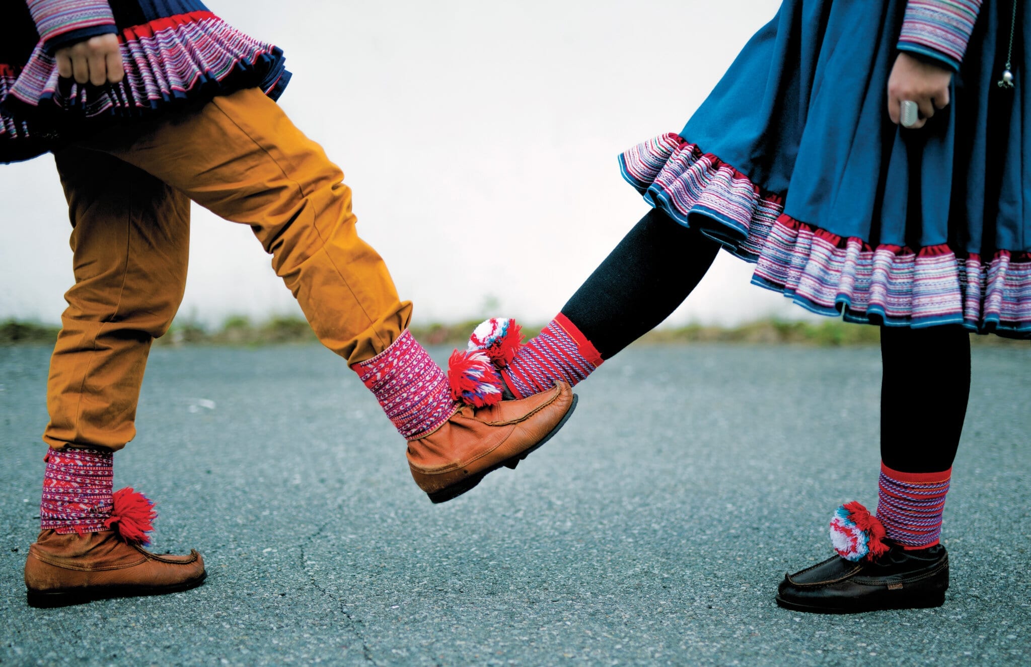 Dearvvahanvieruid loahppa?